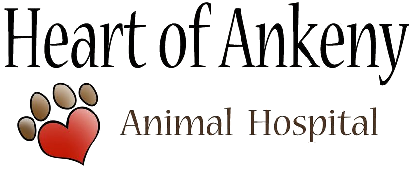 Heart of Ankeny Logo